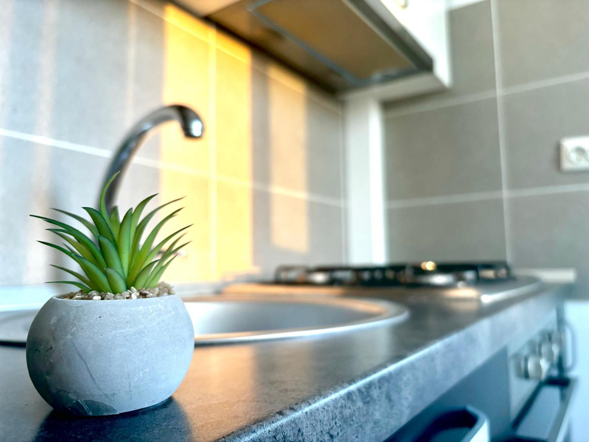 Taste Of Iasi - Two Room Apartment - Central - Sunset Touch Екстер'єр фото